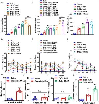 The Role of Transient Receptor Potential A1 and G Protein-Coupled Receptor 39 in Zinc-Mediated Acute and Chronic Itch in Mice